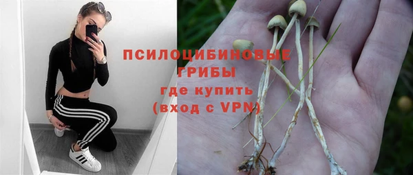 крисы Нефтекумск