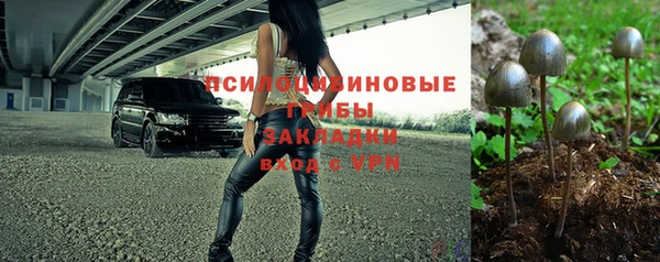герыч Ладушкин