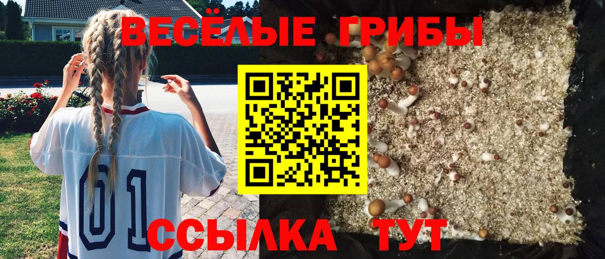 Краснодар  Псилоцибиновые грибы Magic Shrooms  Вход с VPN 