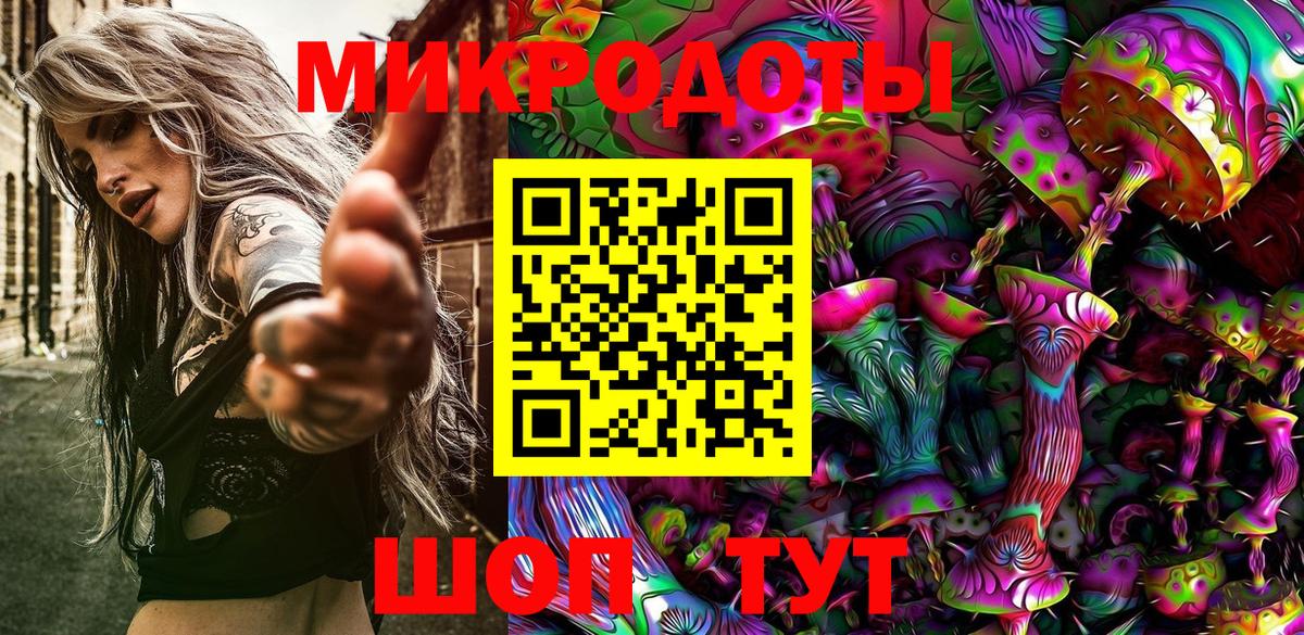 Псилоцибиновые грибы Psilocybe Краснодар