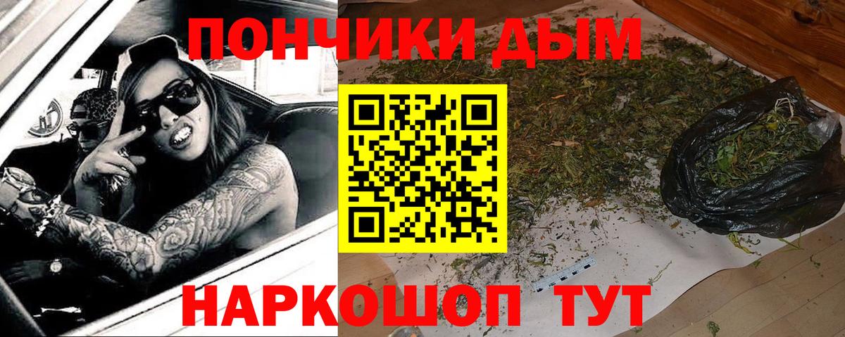 МАРИХУАНА семена  Краснодар  Бошки марихуана планчик 